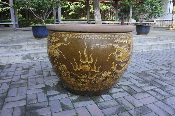 ������̳��