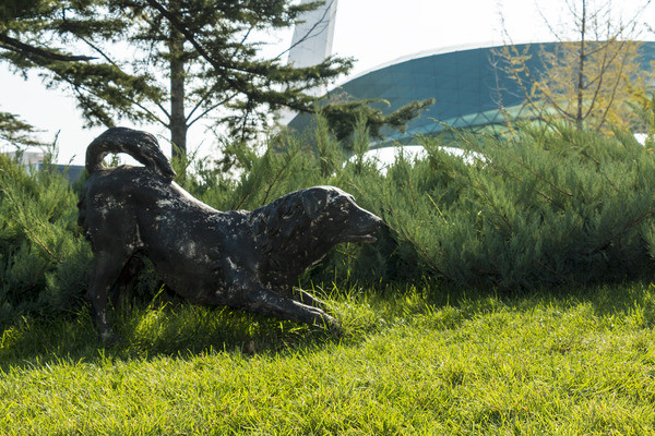 ����Ȯ����