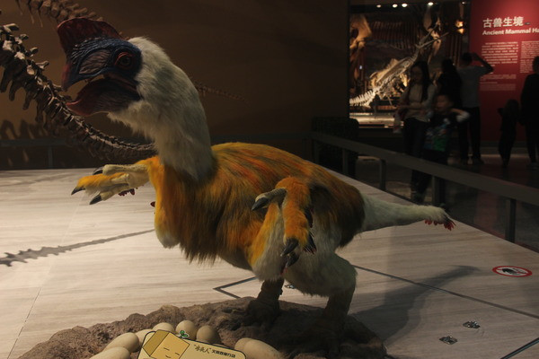 �Ե���ģ��