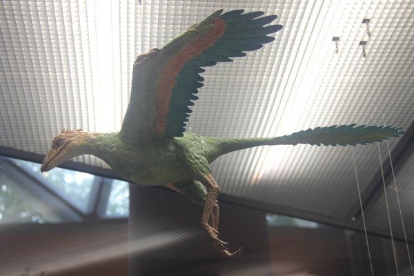 �Ⱥ���ģ��