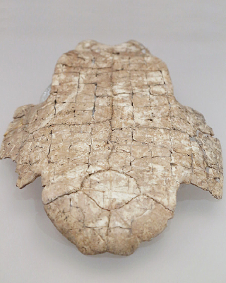 ����ʱ���ڹ긹��