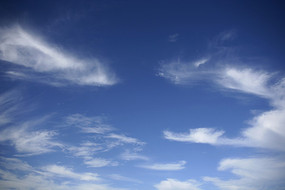 ε����հ�ɫ��