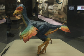 β����ģ��