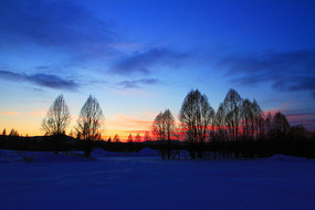 ѩԭ����ĺɫ