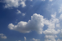 �ƶ�������