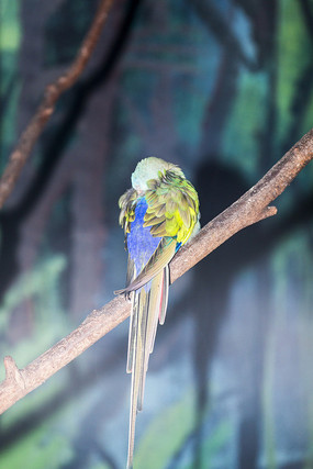 �Ĵ����ǹ�������