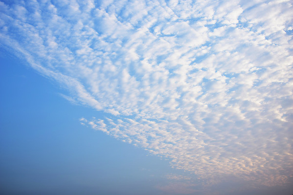 ���������Ʋ�