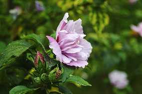 ��ɣ�ͻ���