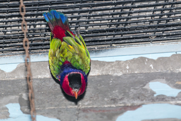 �ڶ���������