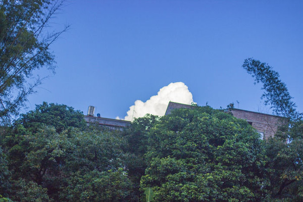 �����ϵİ���