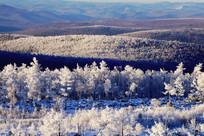 �ֺ�ѩԭ��ڡ