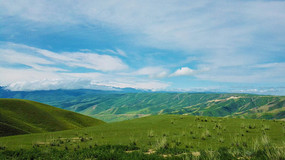 ������ԭ���