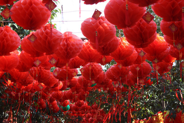 �������ֽ