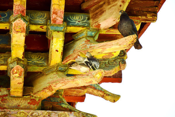 �����µĸ���ͼƬ