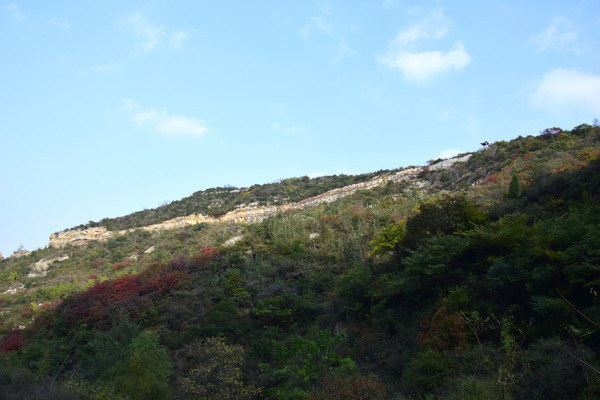 �����ɽɽ������