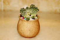 ����С����