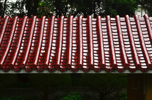 �ŵ�������