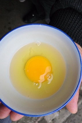 �ֶ�������