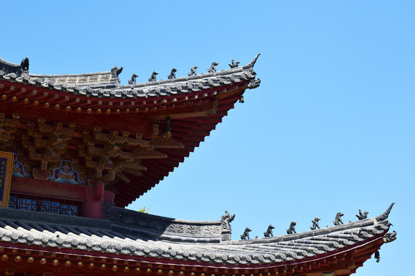 ��ľ����������ͼƬ