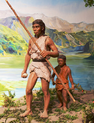 Զ��������չʾͼƬ