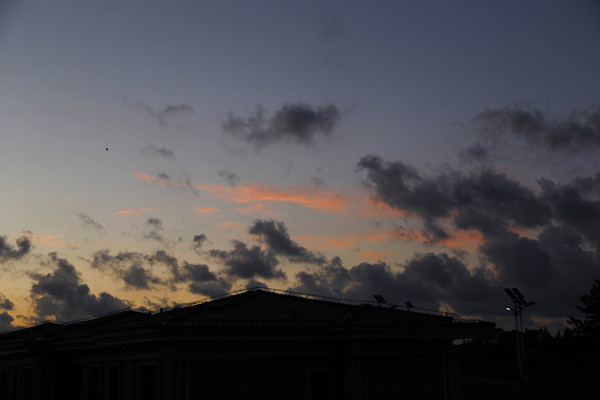 ��ϼ���ƹ���