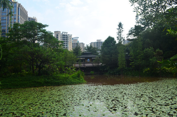 �����羰ͼƬ