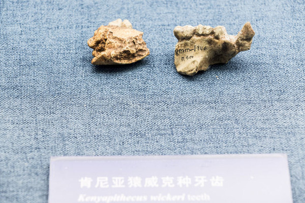 ����������