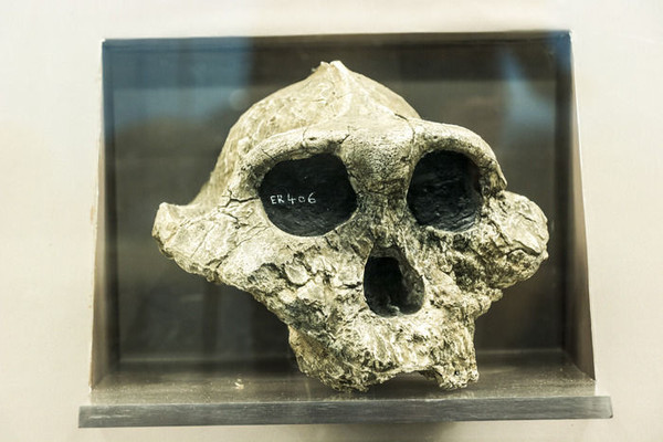 �Ϸ���Գ������