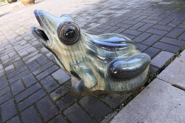 ������ɰ����