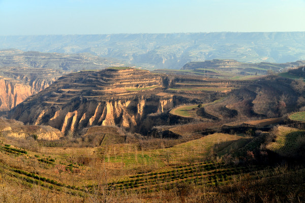 ɽҰ���ũ��