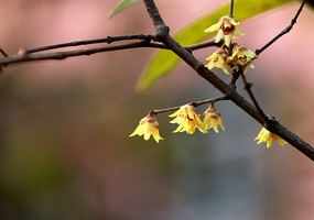 ���ϵ�С�ƻ�