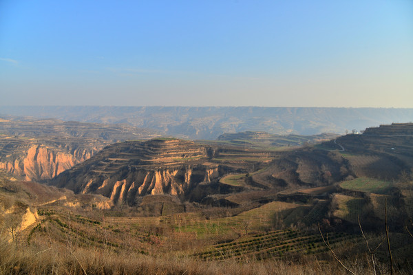 ��Ұ���С��