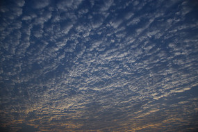 �Ʋ�����