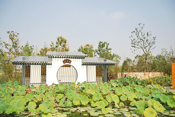 ����԰��԰Т��԰