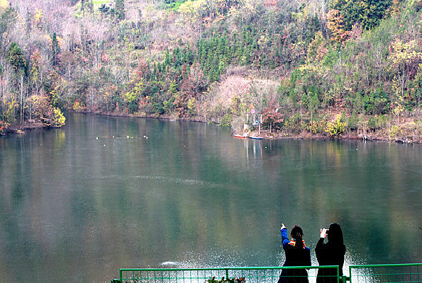 ��Ӱ����