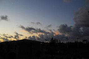 �����Ʋ�