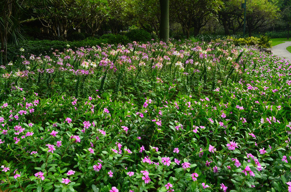 �����Ļ����羰ͼƬ