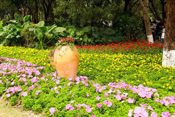 ԰�־�������