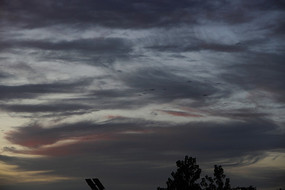 ������Ӱ