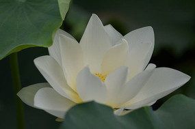 ��������дͼƬ