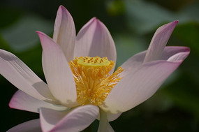 �ɻ�������дͼƬ