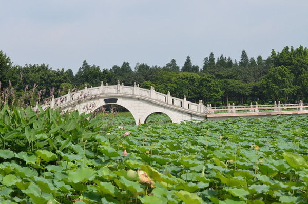 �����羰ͼƬ