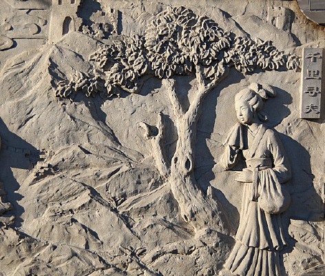 ��Ů���ڿ�ǧ��Ѱ��