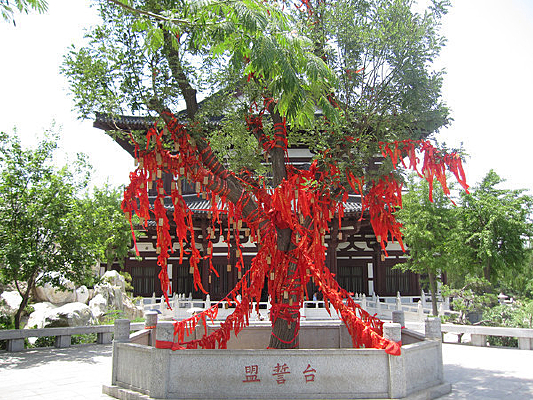 ����˿��