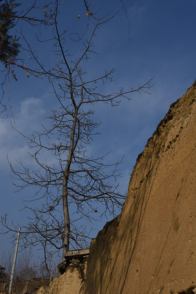 �봨�ܲ���կ