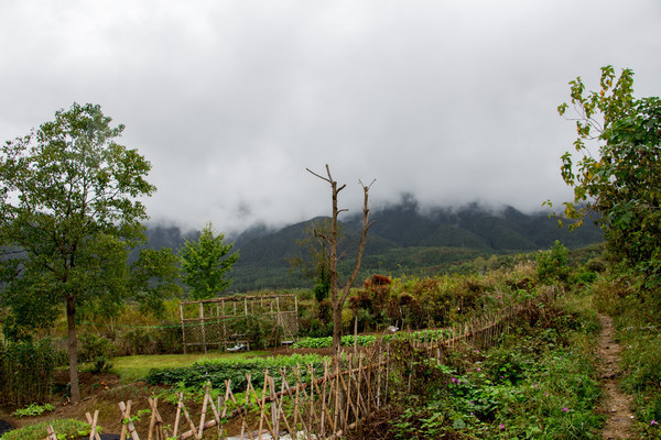 �羰�������԰���