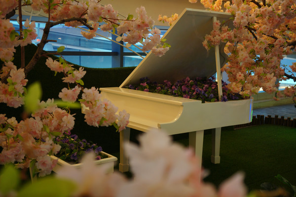 ��������ٰڼ�