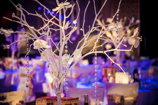 ��������֦