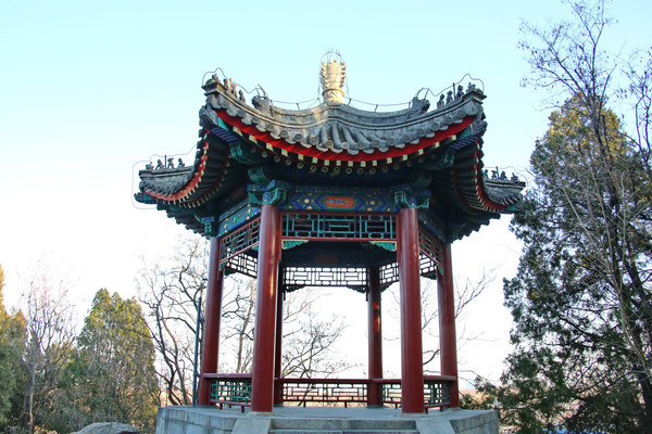 ��Ů��������ͤ