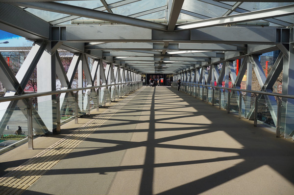 �����ṹ��������